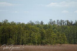 IMG 01838