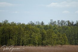 IMG_01838