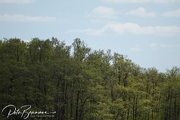 IMG 01841