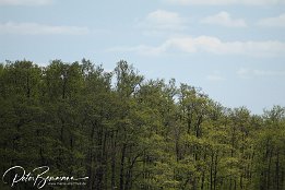 IMG_01841