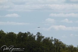 IMG 01842