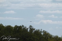 IMG_01842