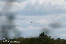 IMG 01843