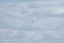 IMG 01844