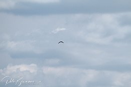 IMG 01845