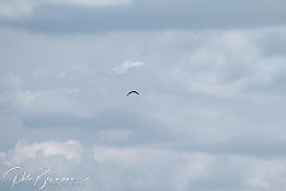 IMG_01845