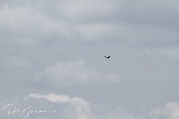 IMG 01847