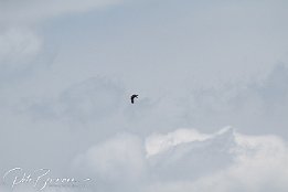 IMG 01848
