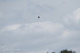 IMG 01849