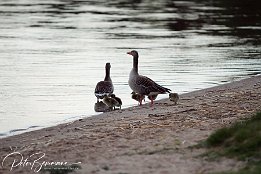 IMG 01777