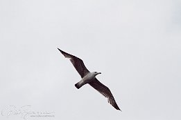 IMG 01891
