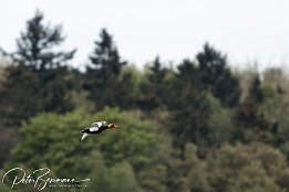 IMG 01899