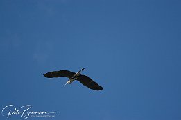 Überflug