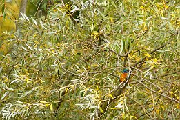 IMG_7D_08282