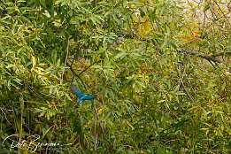 IMG_7D_08304