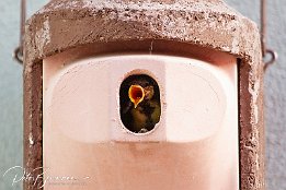 IMG 49422