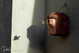 IMG 49439