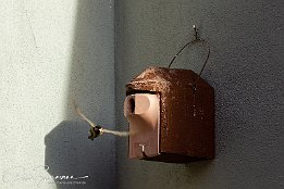 IMG 49440