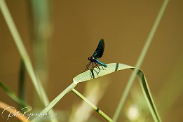 IMG 05389