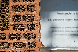IMG 32199