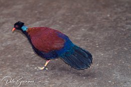 IMG 01726
