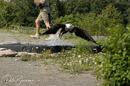 IMG 3951  Seeadler nach dem Schlag der Beute im kleinen Teich