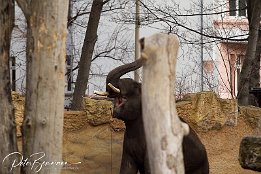 IMG 11652