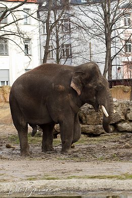 IMG 11656