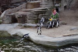 IMG 11675