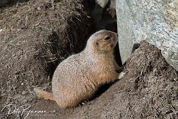 IMG 17726