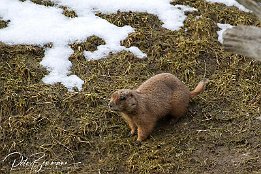 IMG 17727