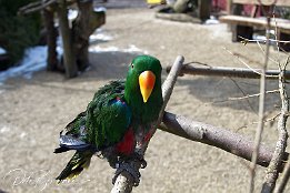 IMG 17728