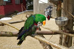 IMG 17731