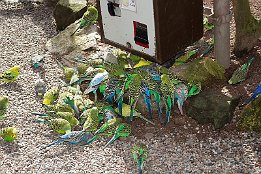 IMG 17740