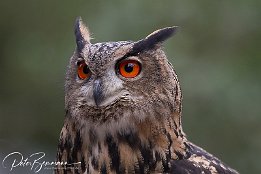 IMG 21069