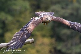 IMG 21075