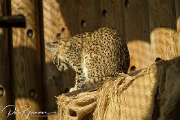 IMG 22802