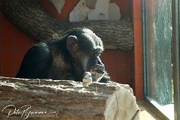 IMG 22810