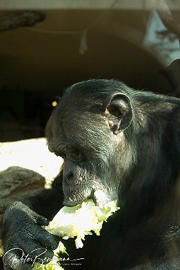 IMG 22812