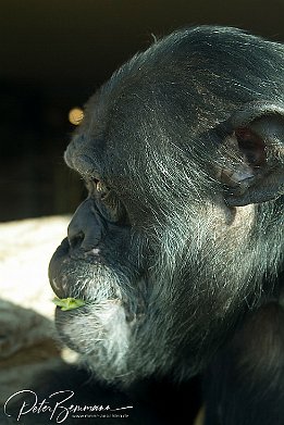 IMG 22813