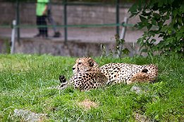 IMG 24629