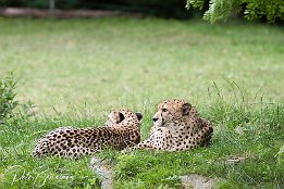 IMG 24643