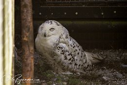 IMG 25298