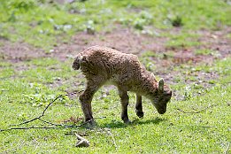 IMG 25302