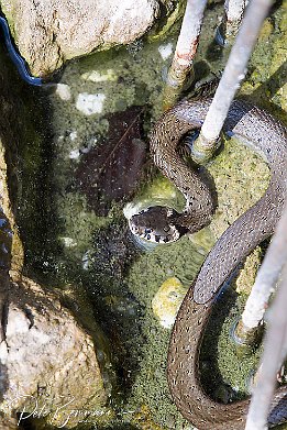 IMG 25358