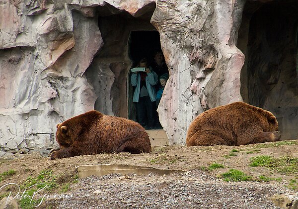 Zoom Erlebniswelt Naturnah gestaltete zoologische Erlebniswelt - mehr als ein Zoo, ein Erlebnispark