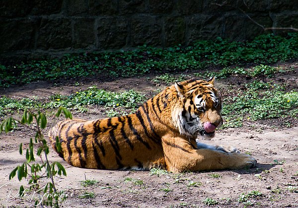 Zoo Landau in der Pfalz Traditionsreicher Zoo des Landes Rheinland-Pfalz