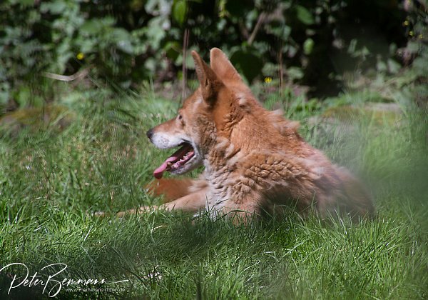 Zoo Neunkirchen