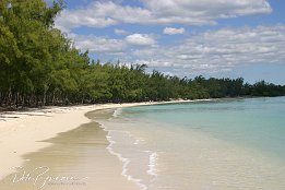 Strand Moin Choisy