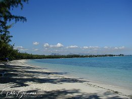 Strand Moin Choisy